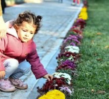 cubuk baraji rekreasyon alani eski gunlerine geri dondu