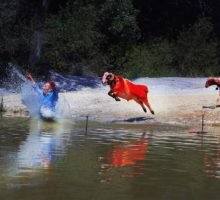 devlet fotograf yarismasinin sonuclari aciklandi