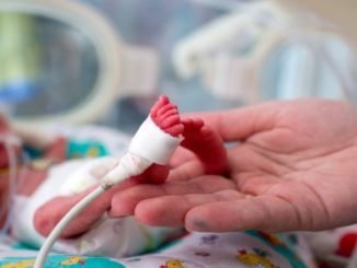 premature bebeklerin bakimi hassasiyet gerektiriyor