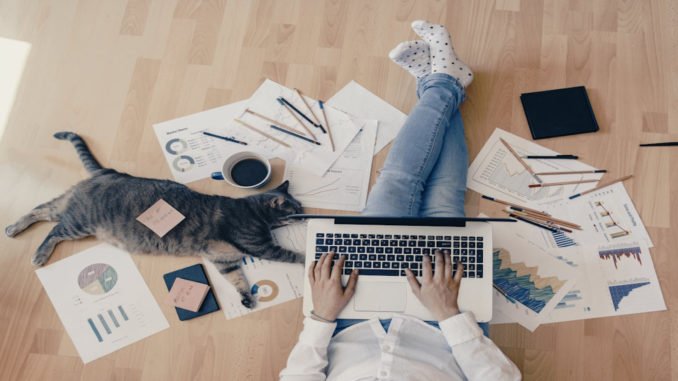 Working home concept - girl with smart phone, laptop and business reports.