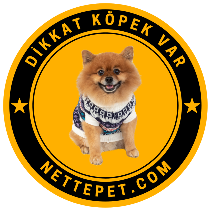 Süs Köpeği