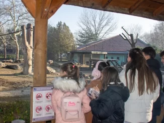 Bursa Karacabey Belediyesi'nden genç sporculara kültürel gezi - Ankara Yaşam