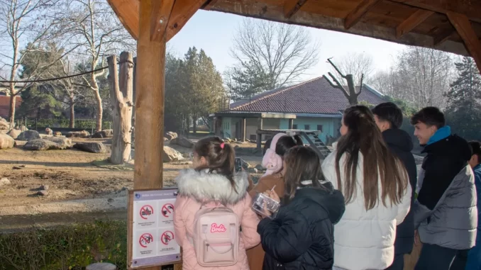 bursa-karacabey-belediyesinden-genc-sporculara-kulturel-gezi-zLxWSBLm.webp
