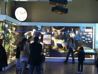 Konya müzeleri 2024’te 1 milyon 132 bin ziyaretçiyi ağırladı - Ankara Yaşam